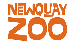 Newquay Zoo